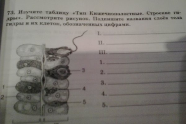 Ссылка на сайт кракен в тор браузере